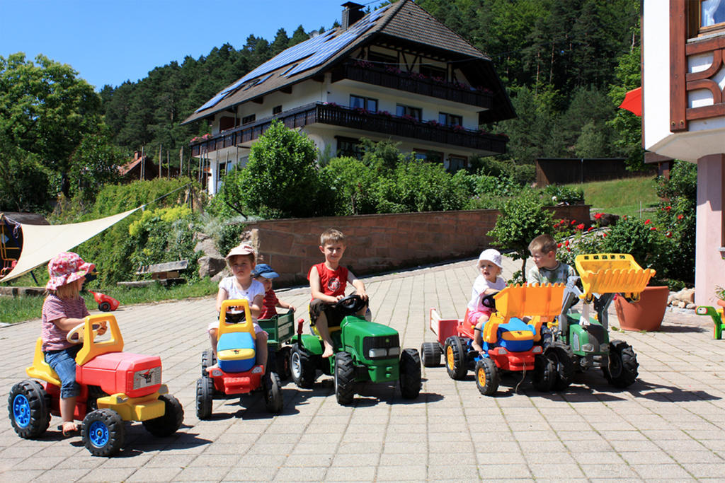 Вилла Schlosshof - Der Urlaubsbauernhof Эльцах Экстерьер фото