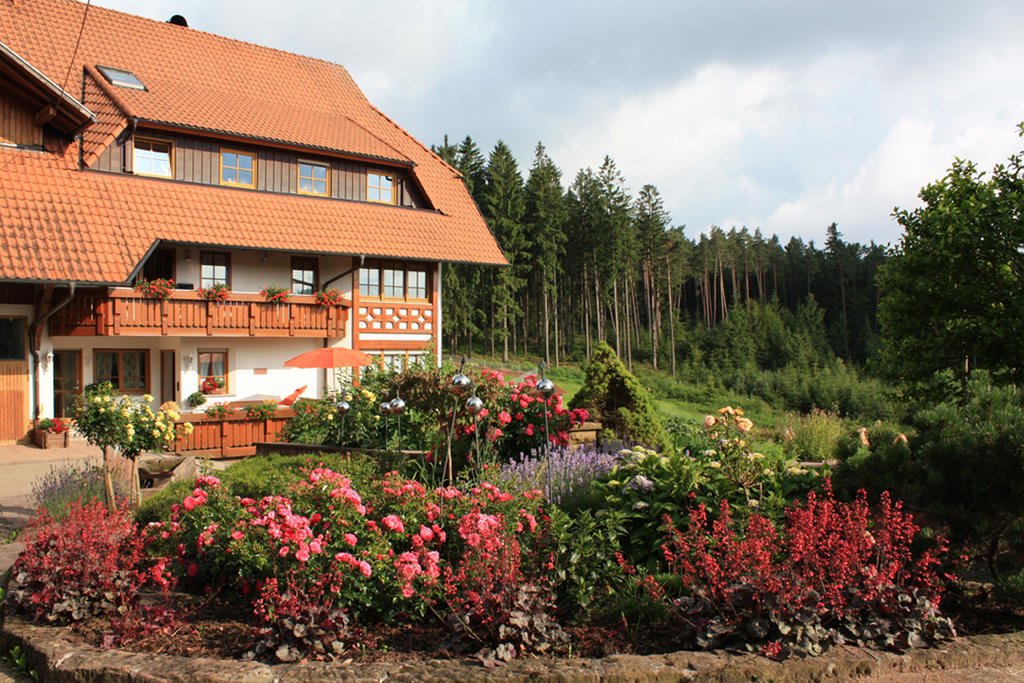 Вилла Schlosshof - Der Urlaubsbauernhof Эльцах Экстерьер фото